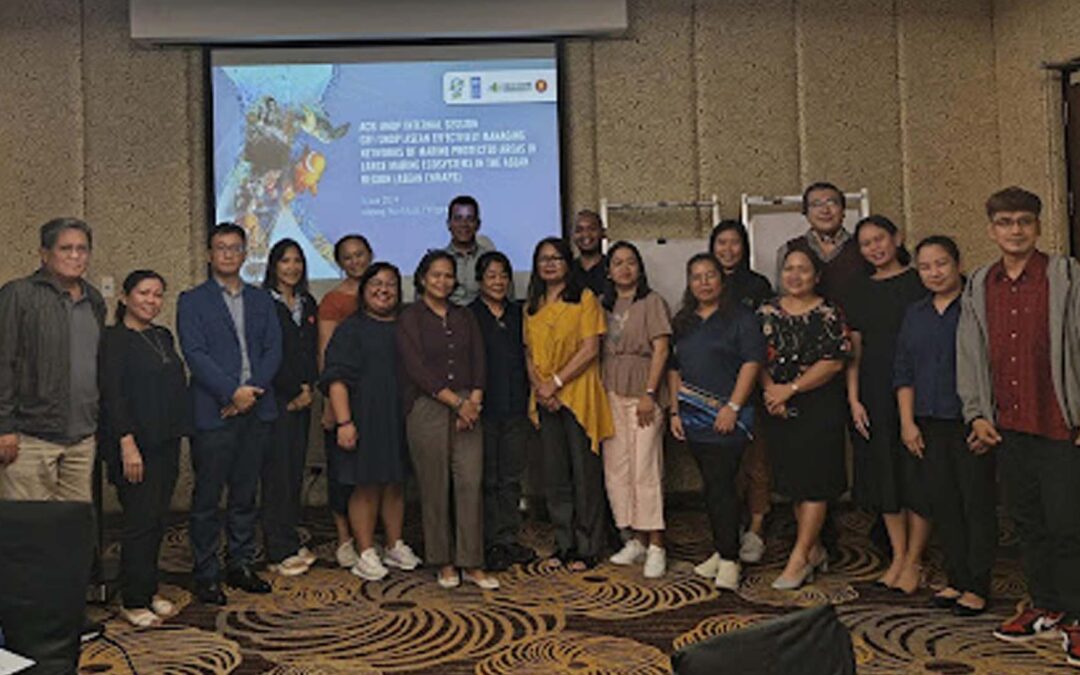 ASEAN ENMAPS Team and UNDP Convene Pre-Inception Meeting in Preparation for Project Launch and Workshop