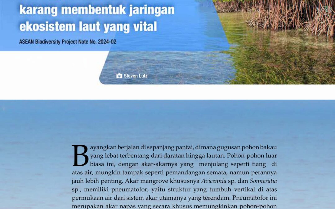 ABPN 2024-02 Kehidupan di bawah kanopi