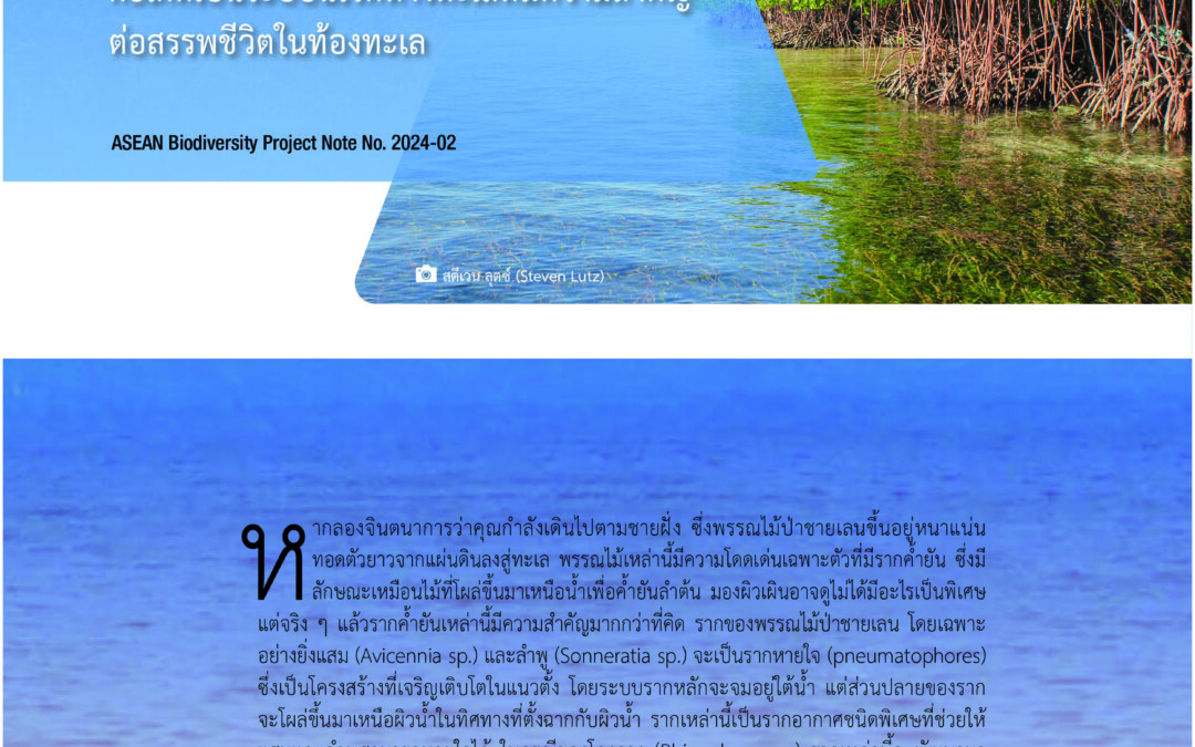 ABPN No. 2024-02 – Life Beneath the Canopy [THA]