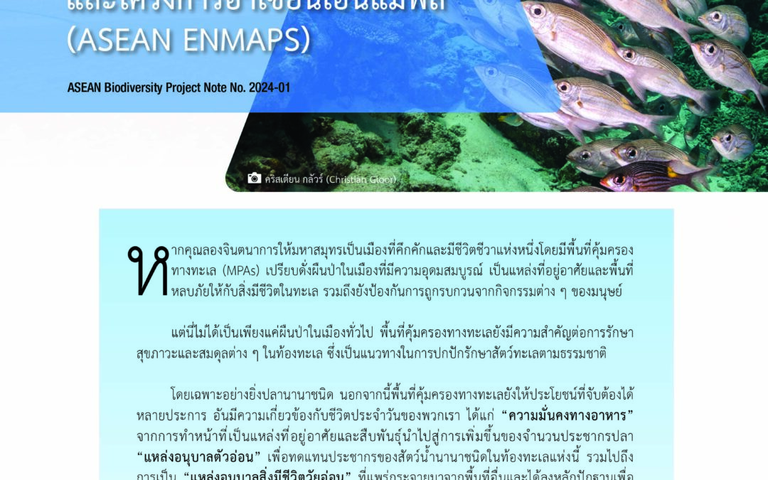 ABPN No. 2024-01 – Understanding MPAs [THA]