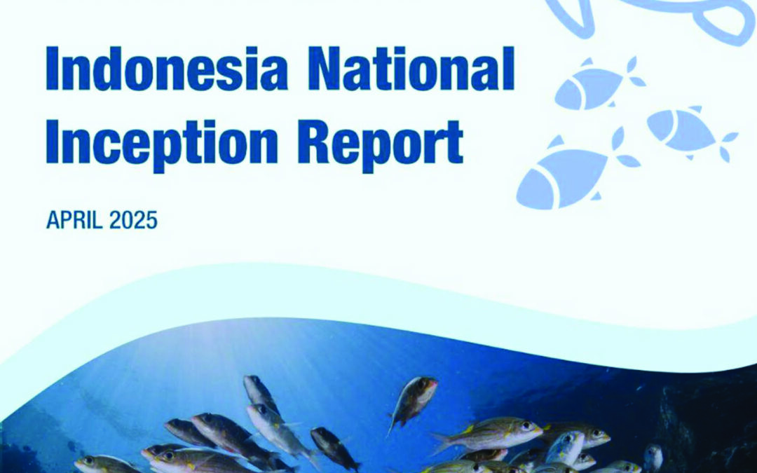 Indonesia National Inception Report