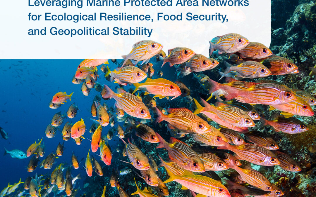 Sustainable Fisheries as Strategic Assets in ASEAN Large Marine Ecosystems: Leveraging Marine Protected Area Networksfor Ecological Resilience, Food Security, and Geopolitical Stability