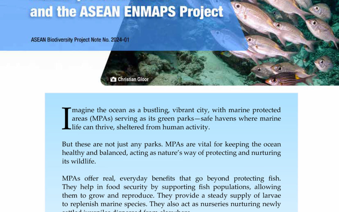 Understanding marine protected areas and the role of ASEAN ENMAPS