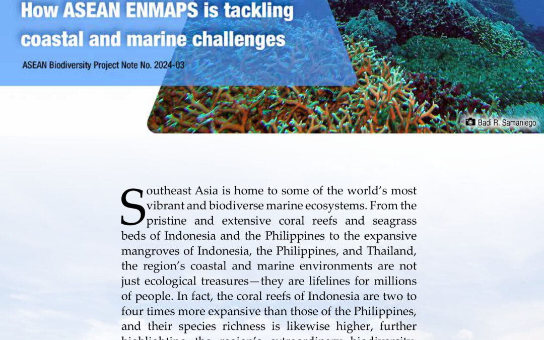 Safeguarding Southeast Asia’s marine future: How ASEAN ENMAPS is tackling coastal and marine challenges