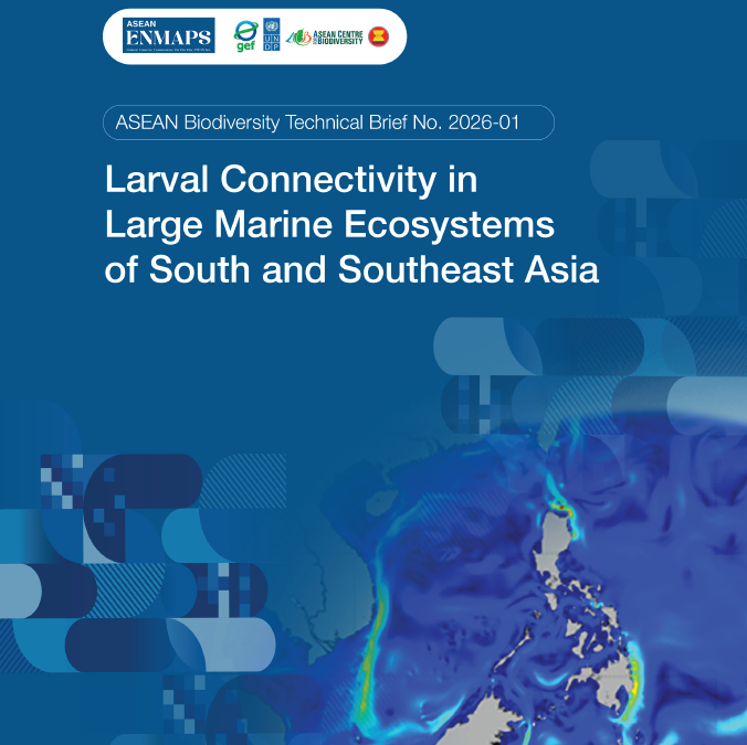 Larval Connectivity in Large Marine Ecosystems of South and Southeast Asia