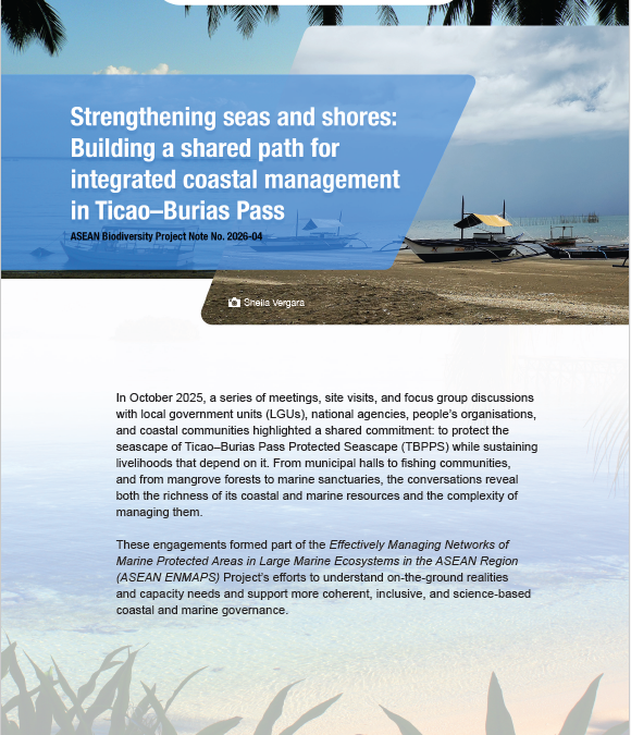 Strengthening Seas and Shores: Building a Shared Path for Integrated Coastal Management in Ticao–Burias Pass